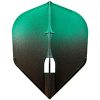 l3 pro two tone champagne flights black with green